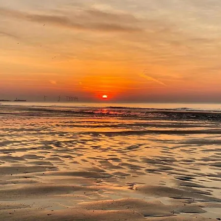 아파트 Cozy 4th Floor *