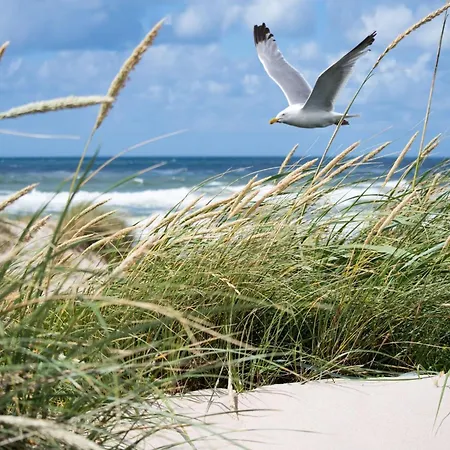 Cozy 4th Floor Knokke-Heist