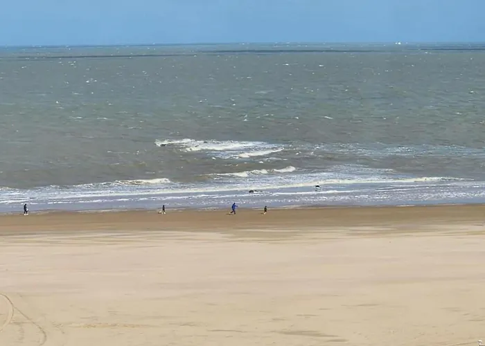 Appartement Cozy 4th Floor *