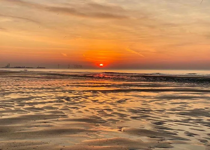 Appartement Cozy 4th Floor *