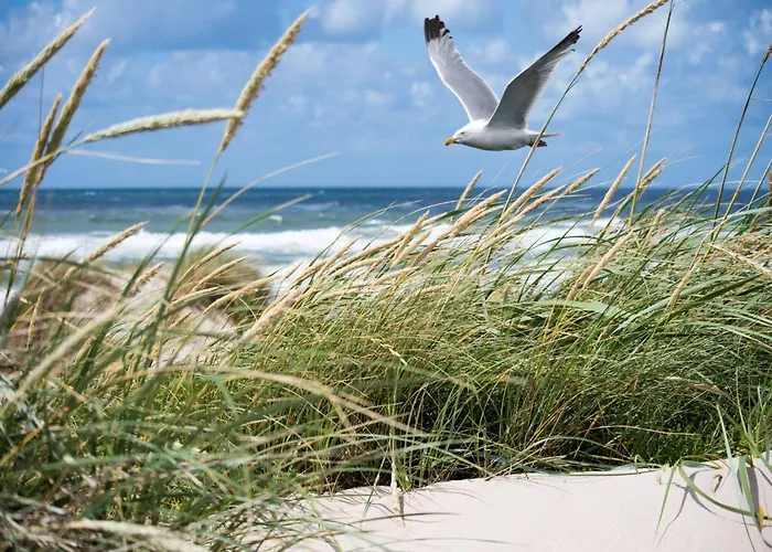 Cozy 4th Floor Knokke-Heist